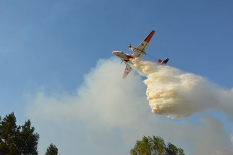 На Дніпропетровщині палає 50 га лісу