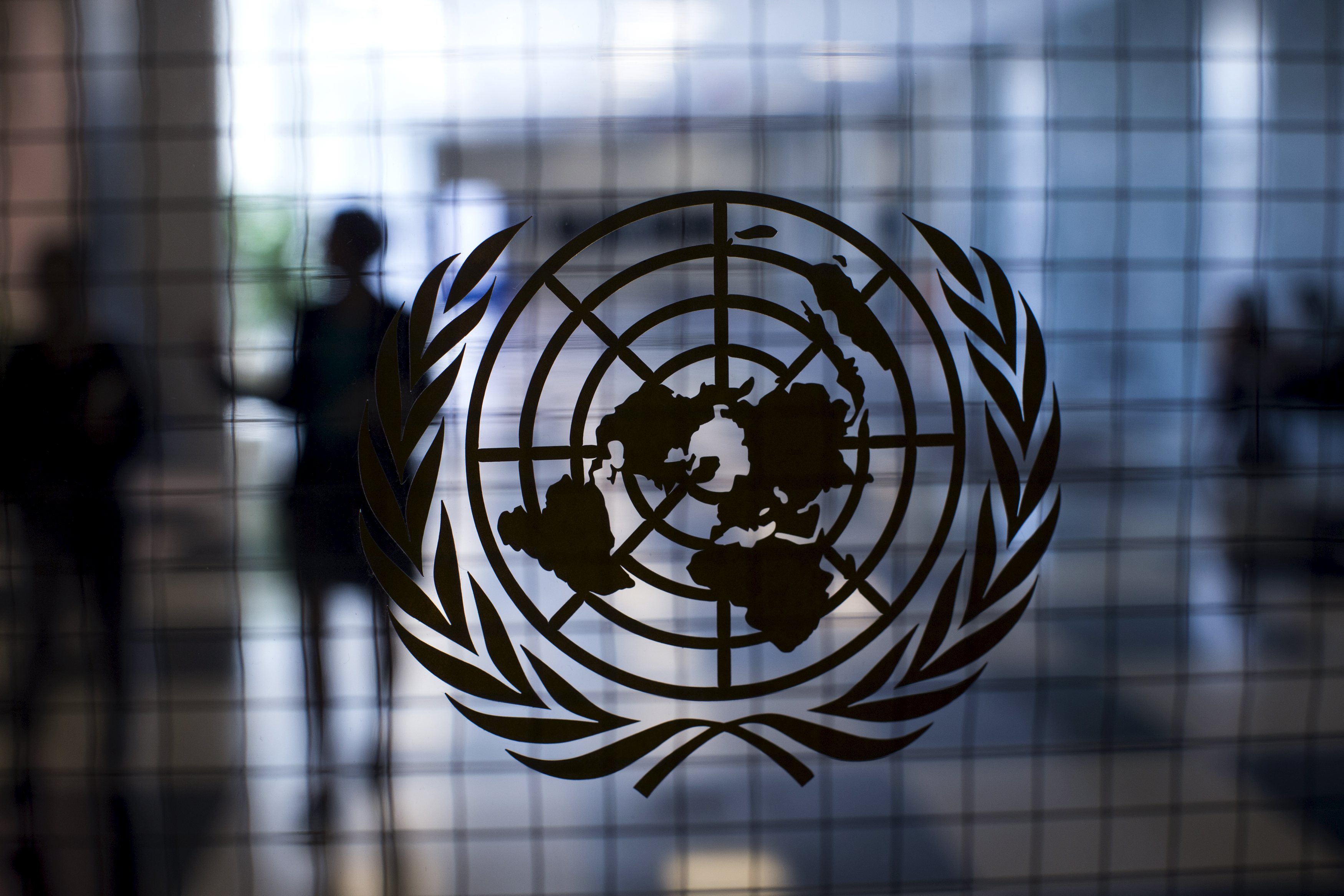 СБ ООН не принял украинский проект заявления по Крыму