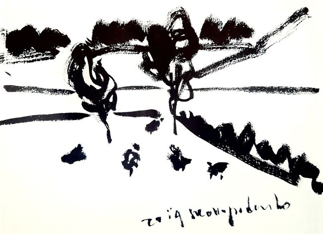 Asemic Notations