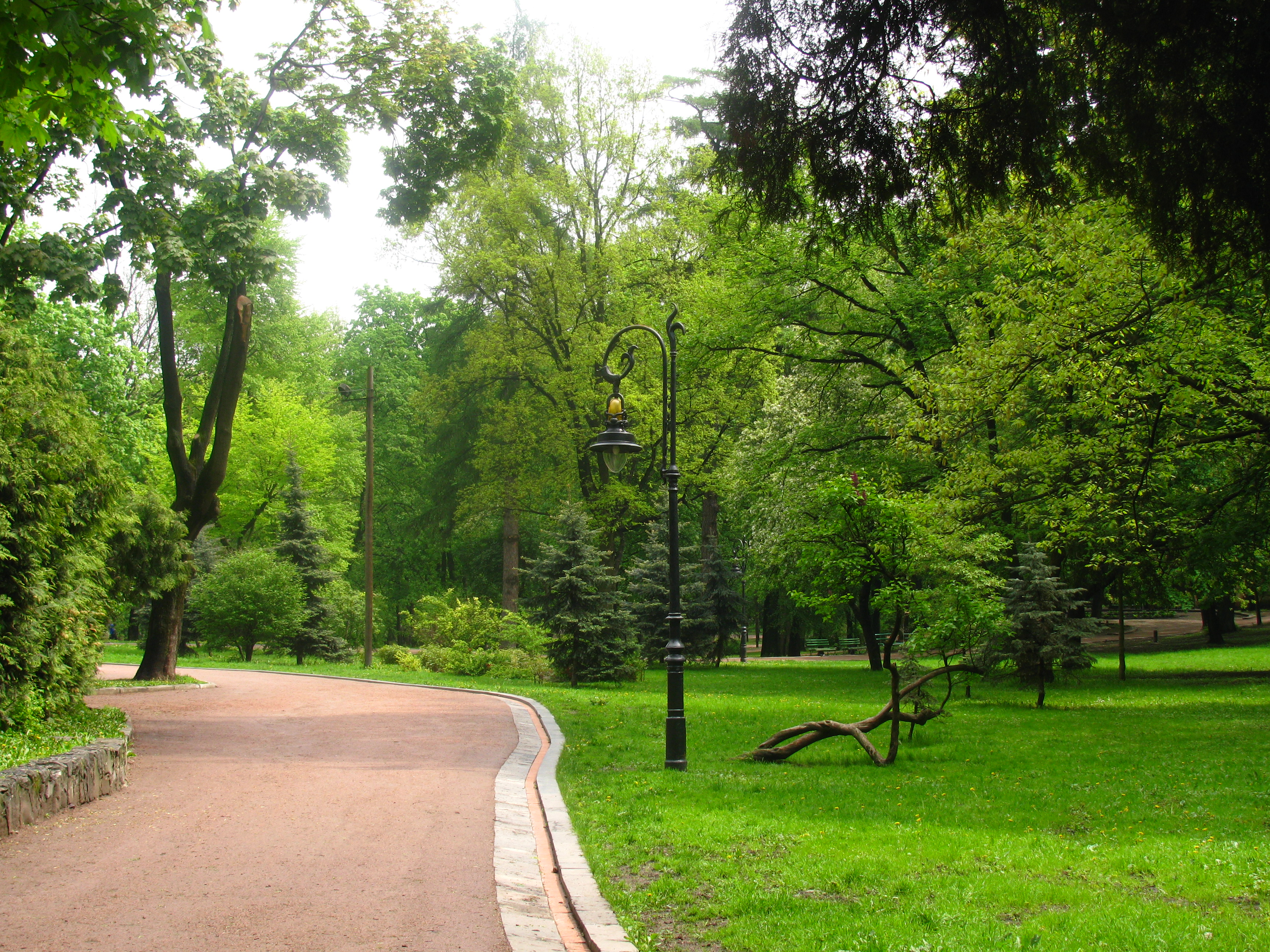 Парки быстро. Экопарк на Моховой Саранск. Городской парк. Фото парков.