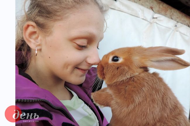 Від Дитячого табору «Козацька Фортеця» Ольвія КИРПИЧ, 16 років, м. Вишневе - за роботу «ПОДОРОЖНІ» Ксенія КОВАЛЕНКО, 13 років, м. Тернопіль - за роботу «ДРУЗІ»
