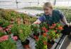 Kyiv’s tropical plants collection is safe